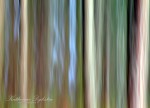 Abstract trees